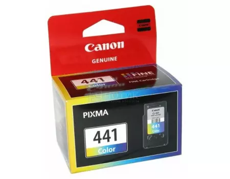 Картридж струйный Canon CL-441 многоцветный для Canon Pixma 5221B001