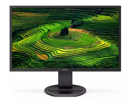 Монитор 27" Philips 272B8QJEB, QHD, IPS, DVI, VGA, HDMI, DP, 4xUSB, Черный 272B8QJEB/00