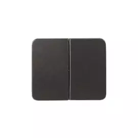 Двухклавишный 10А 250В СВЕТОЗАР ГАММА SV-54134-DM