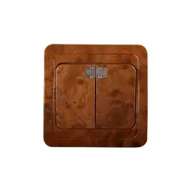 Двухклавишный с подсветкой 10А 250В СВЕТОЗАР ГАММА SV-54135-N