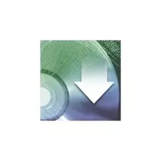 Лицензия - VLC-SSG-P - 5604219 Phoenix contact