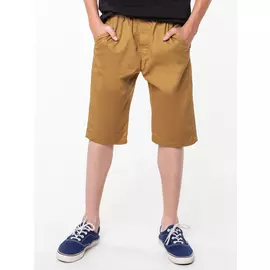 100264_OLB Шорты для мальчика