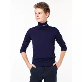 100590_OLB Водолазка для мальчика