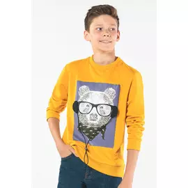 90109_OLB Толстовка для мальчика