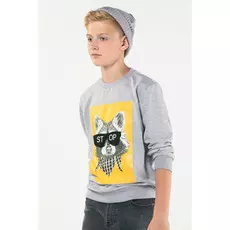 90109_OLB Толстовка для мальчика