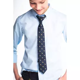 90856_OAB Галстук для мальчика