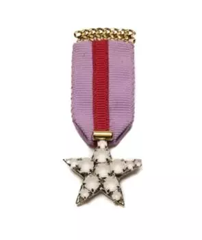 Булавка / брошь