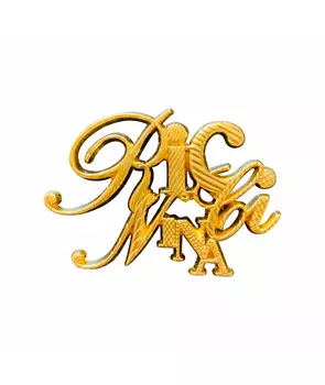 Булавка / брошь