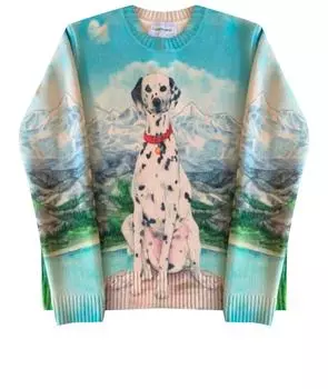 Джемпер / свитер