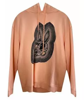 Худи/толстовка