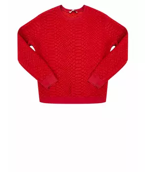 Худи/толстовка