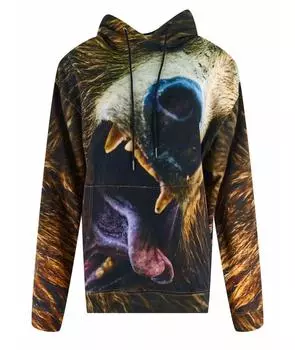 Худи/толстовка