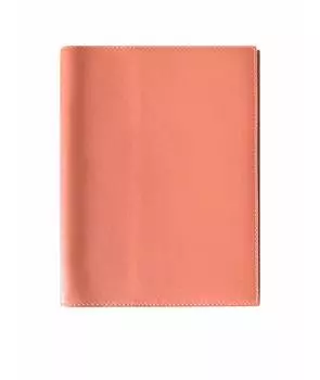 Обложка/футляр