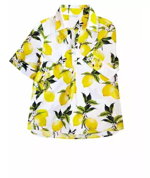 Рубашка/Блузка