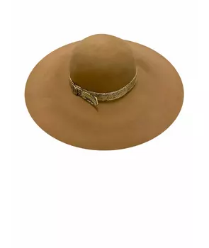 Шляпа
