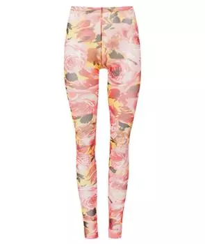 Спортивные брюки и шорты