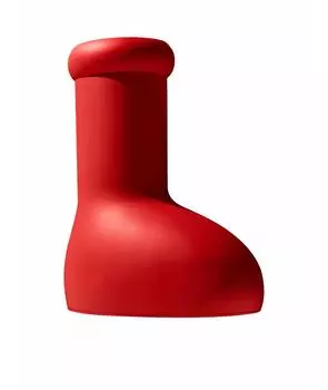 Высокие ботинки