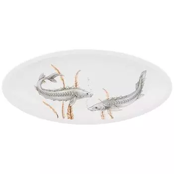 Блюдо (44х20х5 см)