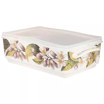 Блюдо Фрукты