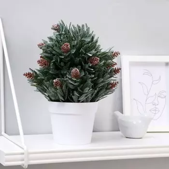 Бонсай Хвойный куст (10х24 см)