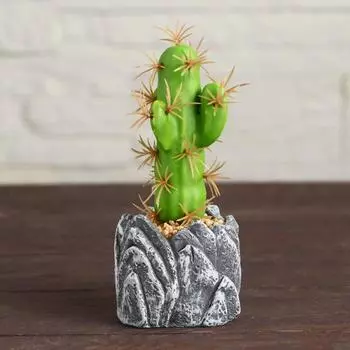 Бонсай Кактус (6х13 см)