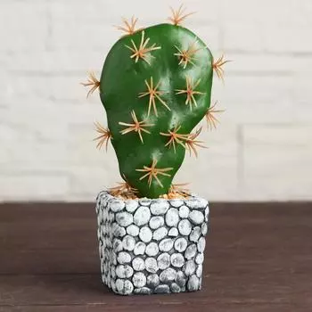 Бонсай Кактус (6х15 см)