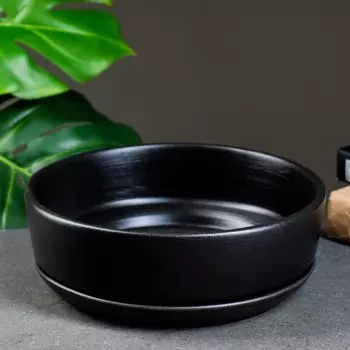 Бонсай Огма (22х22х8 см)