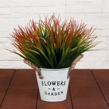 Бонсай Садовый рай (11х22 см)