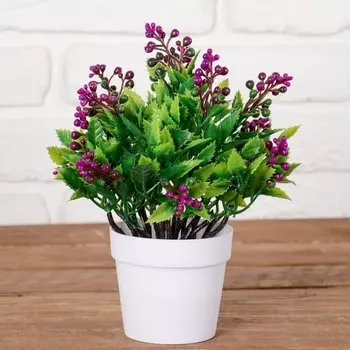 Бонсай Шарики в листве в ассортименте (9 см)