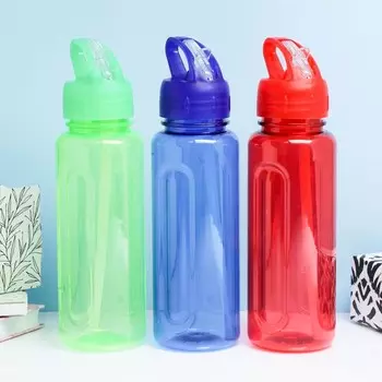 Бутылка для воды Бараолт (650 мл)