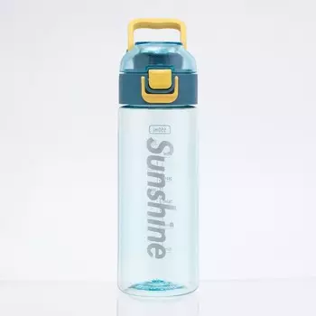 Бутылка Солнечный свет (550 мл)