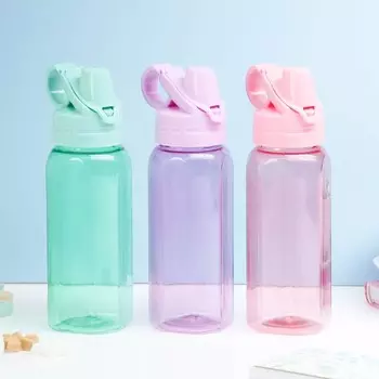 Бутылка в ассортименте (450 мл)