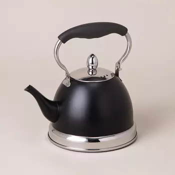 Чайник (1000 мл)