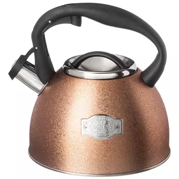 Чайник (2500 мл)