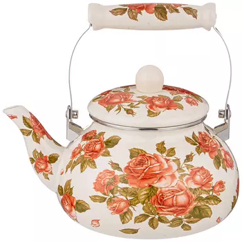 Чайник Alyster