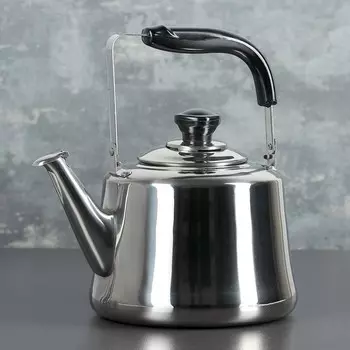 Чайник Чайковский (3000 мл)