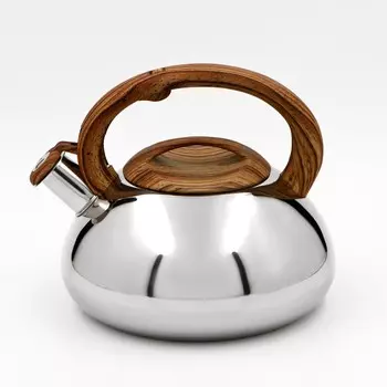 Чайник Квант (2800 мл)