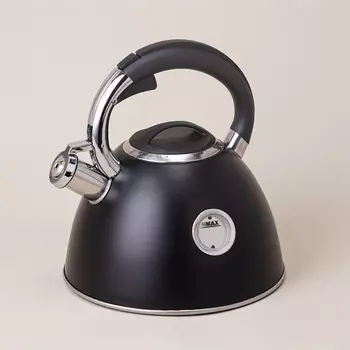 Чайник Тюдор (2500 мл)