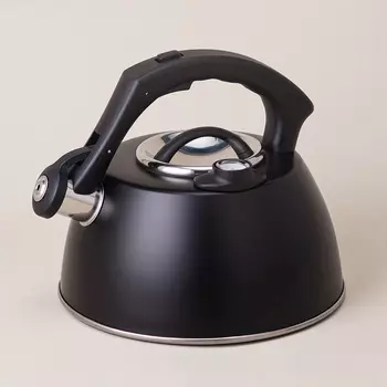 Чайник Тюдор (3000 мл)