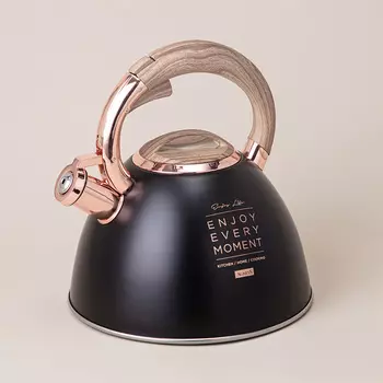 Чайник Тюдор (3000 мл)