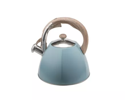 Чайник Webster (3000 мл)