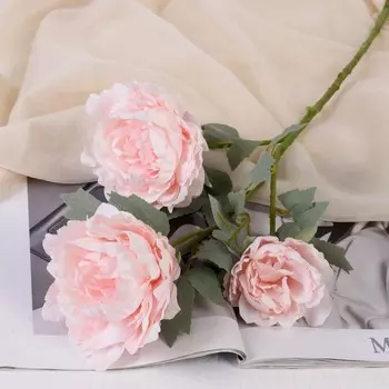 Цветочная композиция Пион Лунная река (12х85 см)