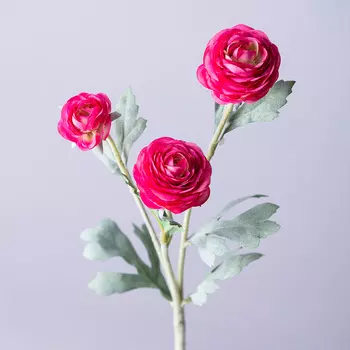 Цветок Ранункулюс (43 см)