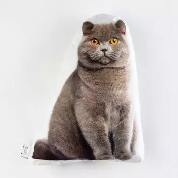 Декоративные подушки ЭТЕЛЬ