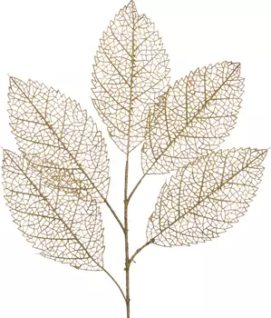 Декоративное изделие Dom (60 см)