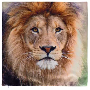 Декоративные подушки Santalino