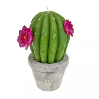 Свеча Кактус (9х11х16 см)