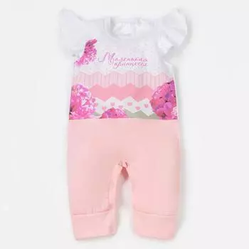 Комбинезон Маленькая принцесса (3-6 мес)