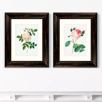 Диптих Antique plants drawn №11, 1802г. (51х41 см - 2 шт)