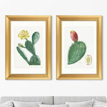 Диптих Cactus Opuntia Inermis, 1799г. (51х71 см - 2 шт)